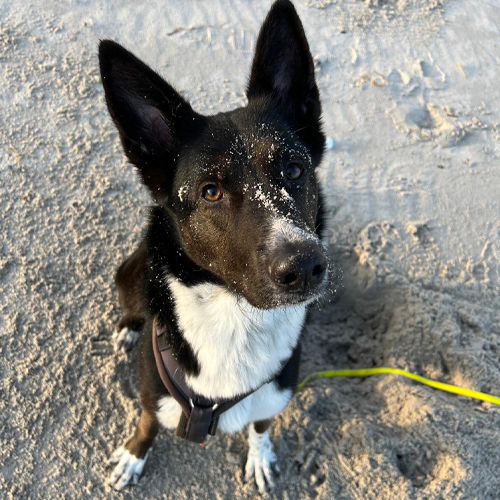 Konzept 27 - Kurztrip nach Kellenhusen - Inspo 03