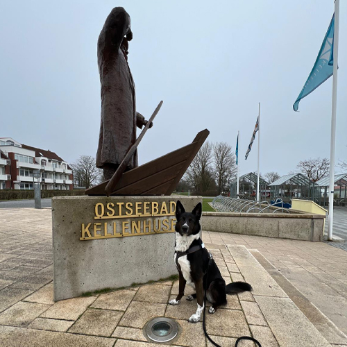 Konzept 27 - Kurztrip nach Kellenhusen - Inspo 05