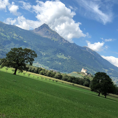 Konzept27_Reiseblog_Roadtrip durch Italien_Landschaft Österreich 01