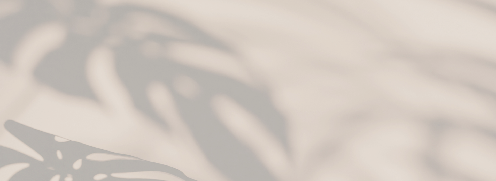 Konzept27 - Webdesign für Ferienunterkünfte - Background